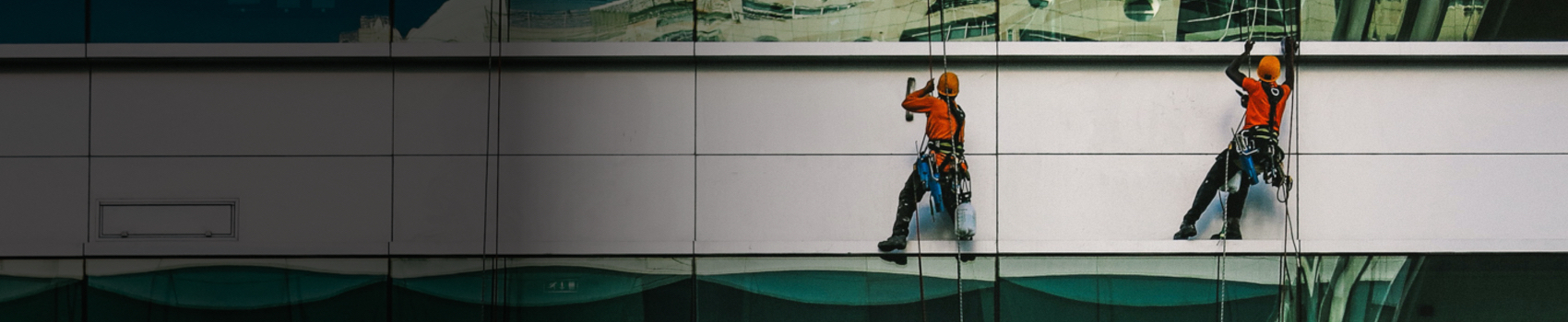 Group of climbers cleaning office building windows